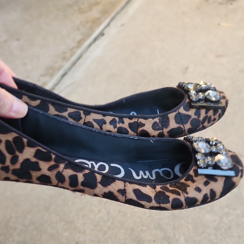 Sam Edelman Leopard-Print Crystal Toe Ballet Flats - Brown/Black - Picture 13 of 16